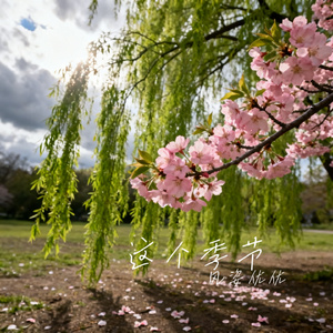 这个季节
