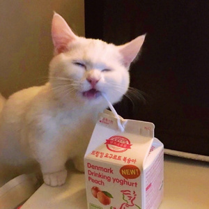 【纯歌版】我有个很长的故事（Cover 藤岡正明）