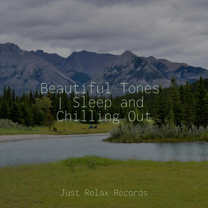 Mist Filled Melancholy Meadows