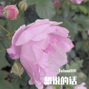 想说的话(Prod.by SAXON)