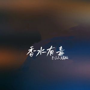 香水有毒（DJ小瑞版）