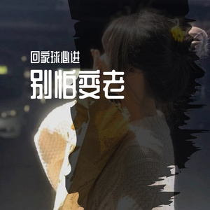 王以太-别怕变老（回家球必进 remix）