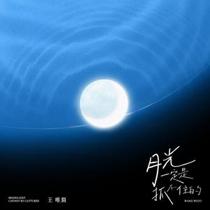 月光一定是抓不住的