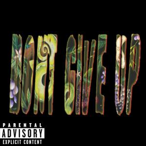 Dont give up (Justsol)