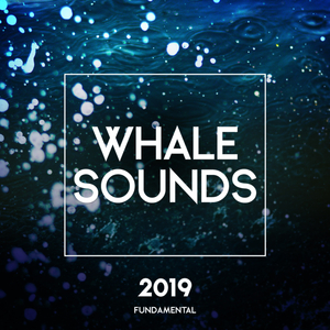Relaxing Whale Sounds (Original Mix)