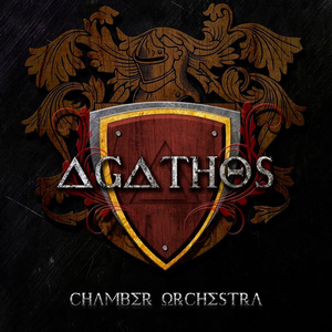 Chamber Orchestra