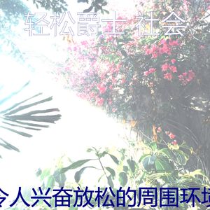 一尘不染放松的印象数