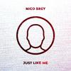 Nico Brey - Just Like Me