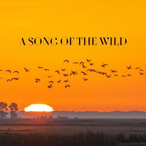 A Song of the Wild
