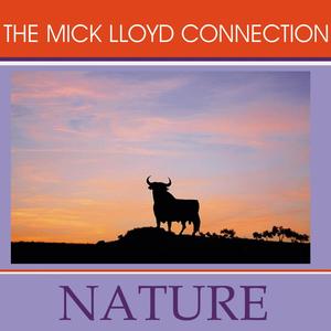 Carolina Nights / Harbour Reprise