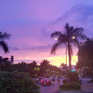 不想与你错过一丁点浪漫