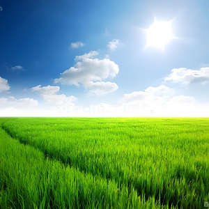 停在这舒适的时光 伴奏