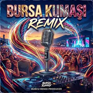 Bursa kumaşı