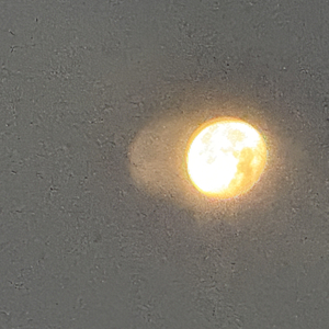 我的生活来自你