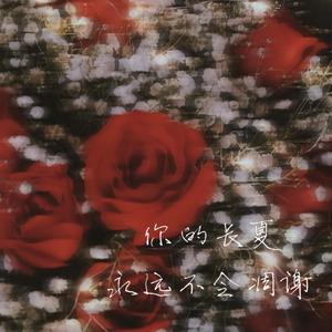 你的长夏永远不会凋谢 伴奏