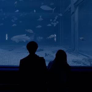 一个Zhanan（女生版）（翻自 余佳运）