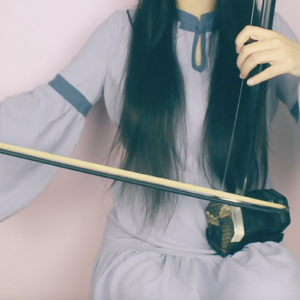 「二胡」飞雪玉花（Cover 魏小涵）