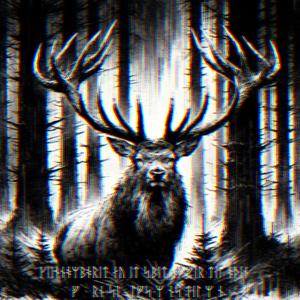 Vi er her i deres sinn og vi slo rot