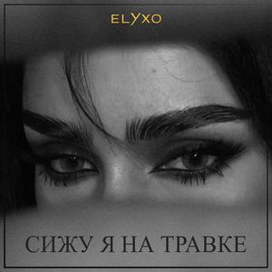 Сижу я на травке