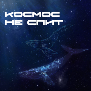 Космос не спит