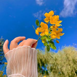 一起看风景（纯音乐 钢琴曲）