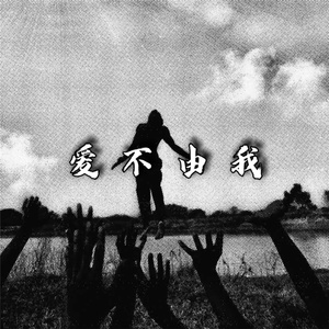 爱不由我