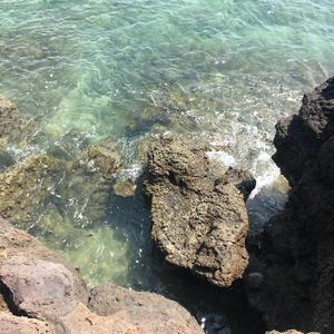 大鱼（竹笛版）