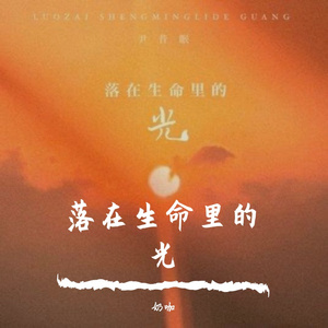 落在生命里的光