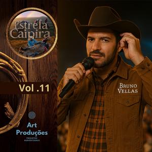 Ela ficou na minha voz rouca