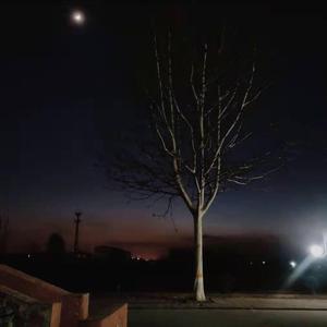 就让我死在孤独的夜里（demo）