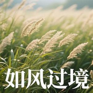 如风过境 (阿默 Remix)
