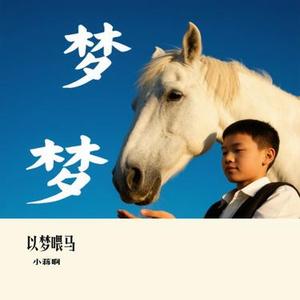 以梦喂马(Cover 贰佰)