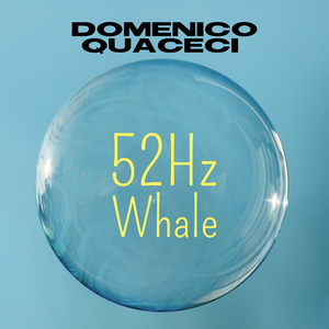 52Hz Whale
