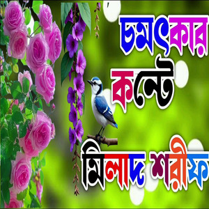 মিলাদ শরীফ