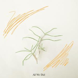 All We Did