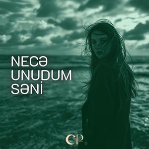 Necə Unudum Səni (Remix)