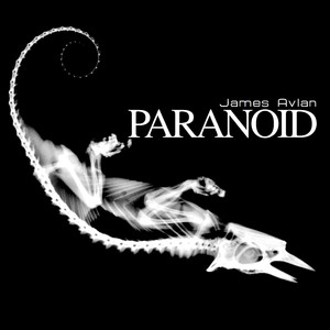 Paranoid (Radio Edit)