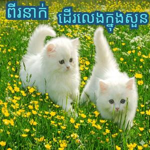 ពីរនាក់ដើរលេងក្នុងសួន