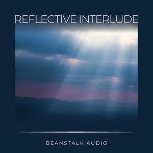 Reflective Interlude