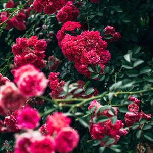 周末的一束阳光