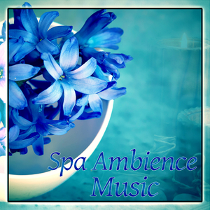 Spa Ambience