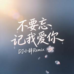 不要忘记我爱你 (DJ小辞Remix)