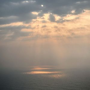 ToLight（飞向光）