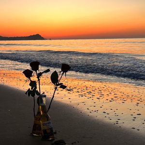 再见了 那个夏天