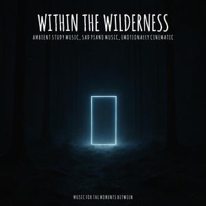 Calm Piano Music "Escaping You"