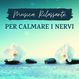 Sconfiggi la depressione e l'ansia