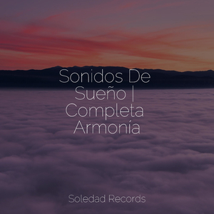 Burbujas En El Tiempo