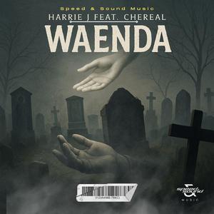 Waenda (feat. Chereal)