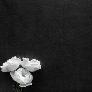 Welcome Back to Freedom