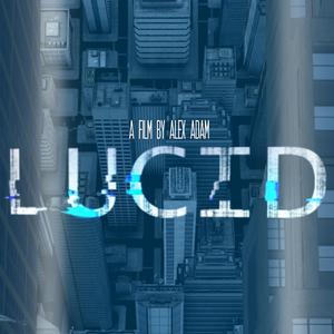 A Day in the Life of Noah